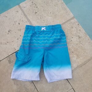 Boy Swim trunks Size Small 6/7